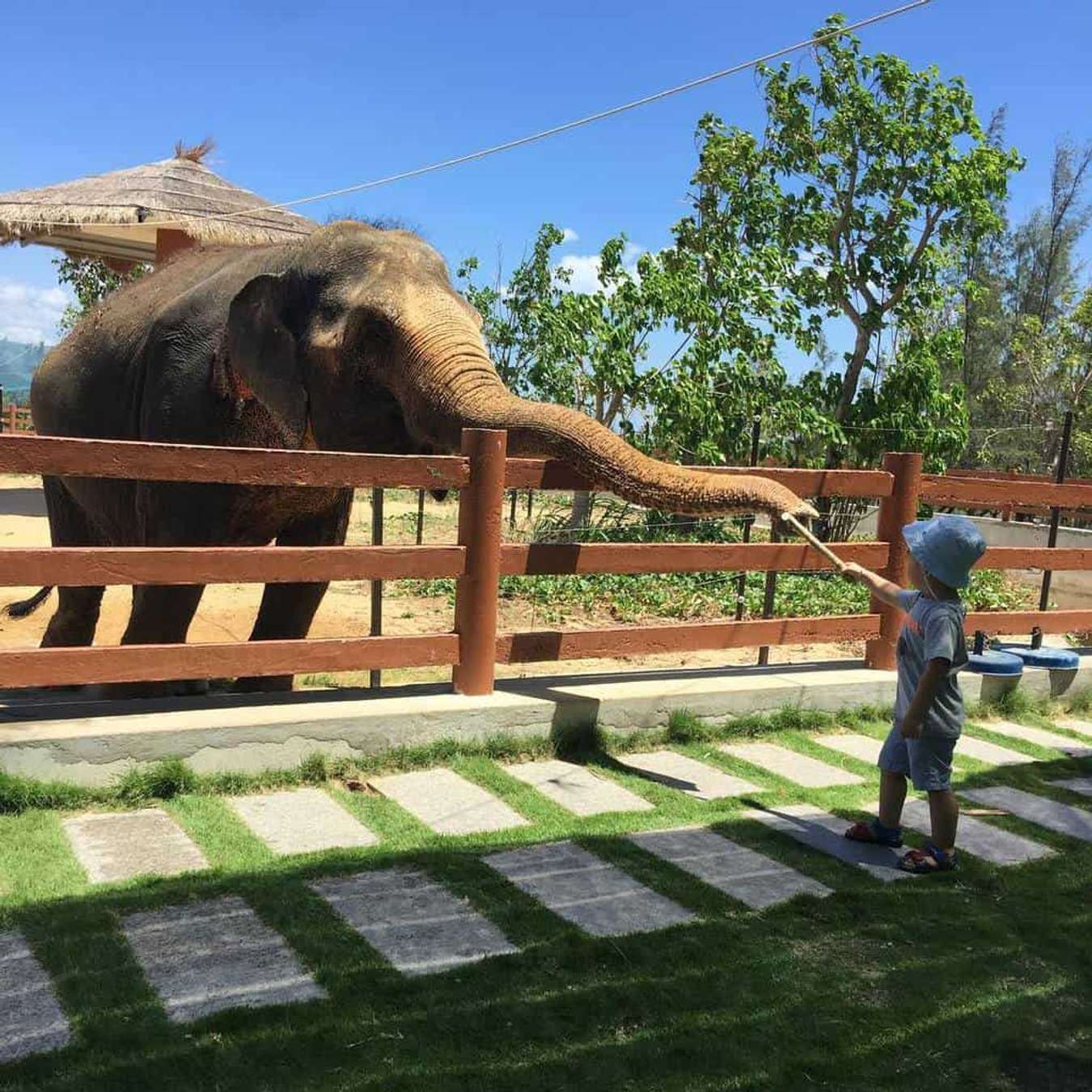 FLC Safari Zoo