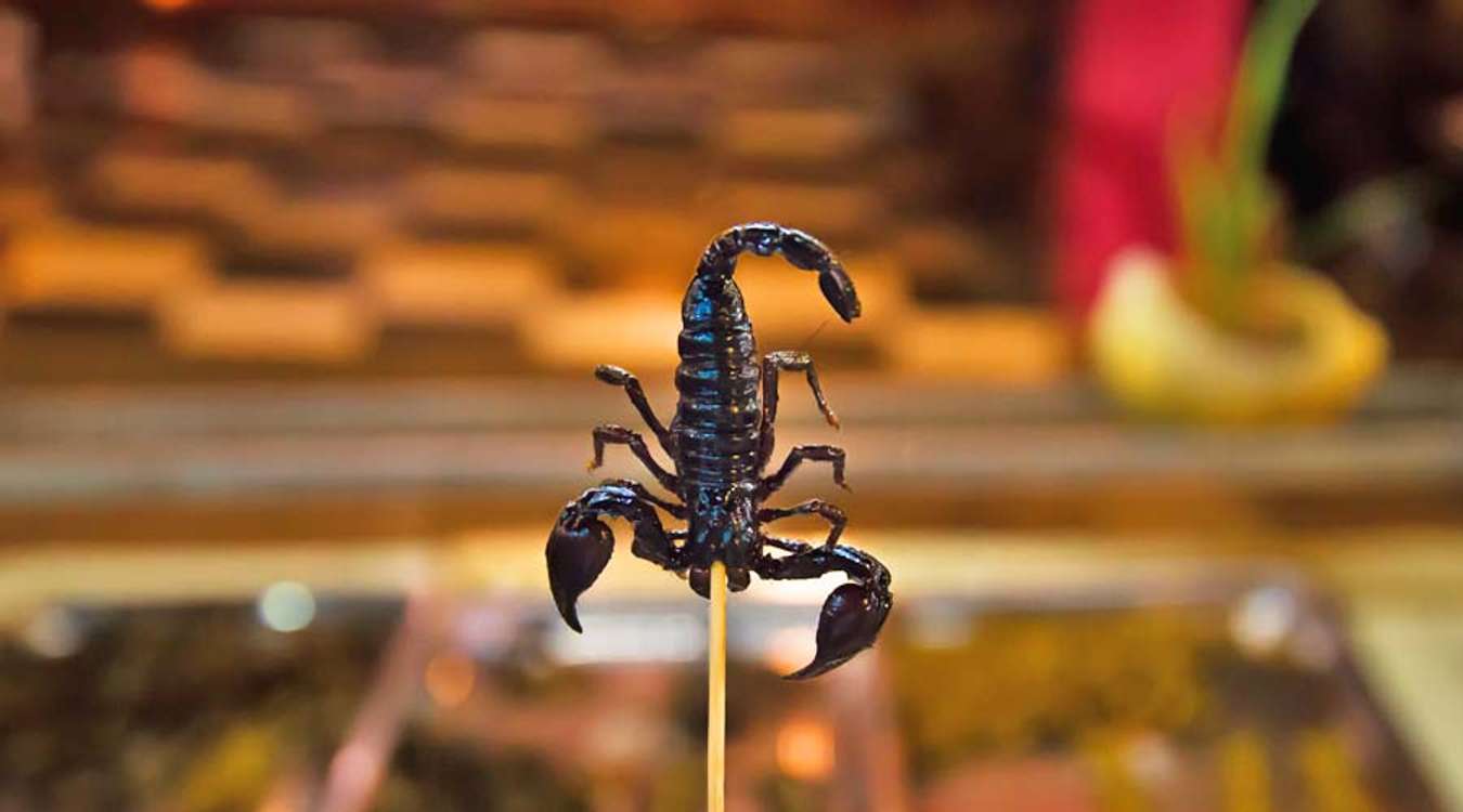 Fried Scorpion