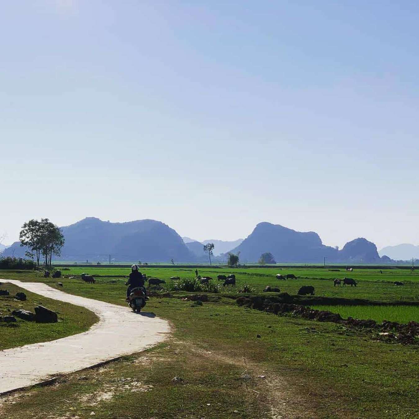 Địa điểm du lịch Thanh Hoá