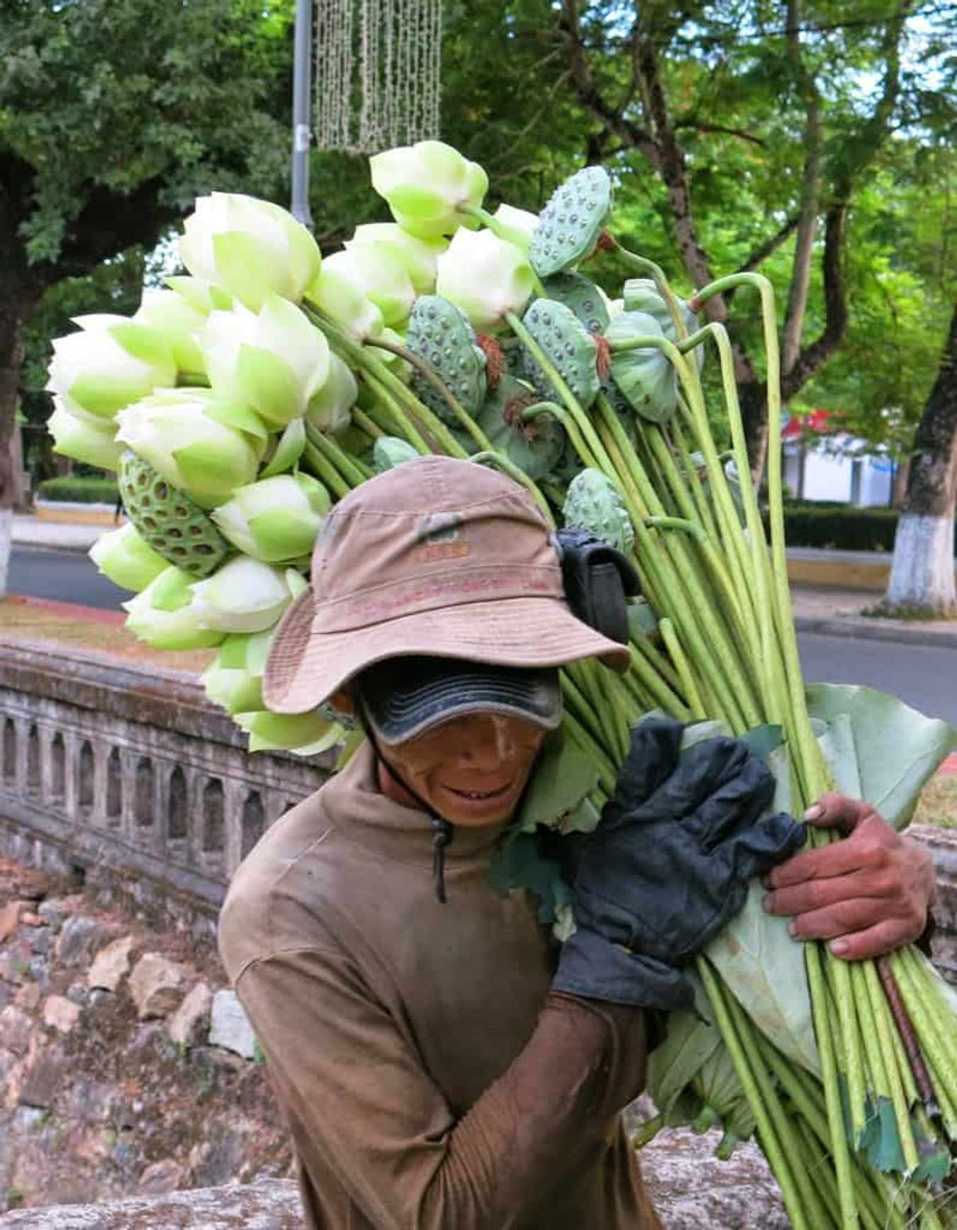 Du lịch Huế mùa sen nở ngát hương trời tháng sáu - Traveloka Golocal