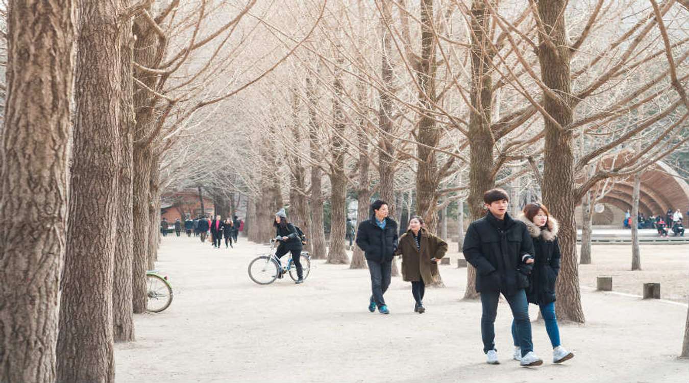 Nami Island