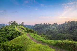 Menyatu dengan Alam di Bukit Campuhan Ubud, Michelle Sonya