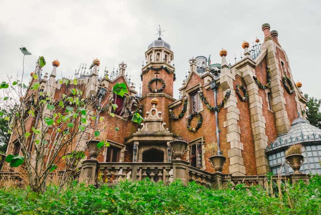 Kinh nghiệm đi Tokyo Disneyland - DisneySea