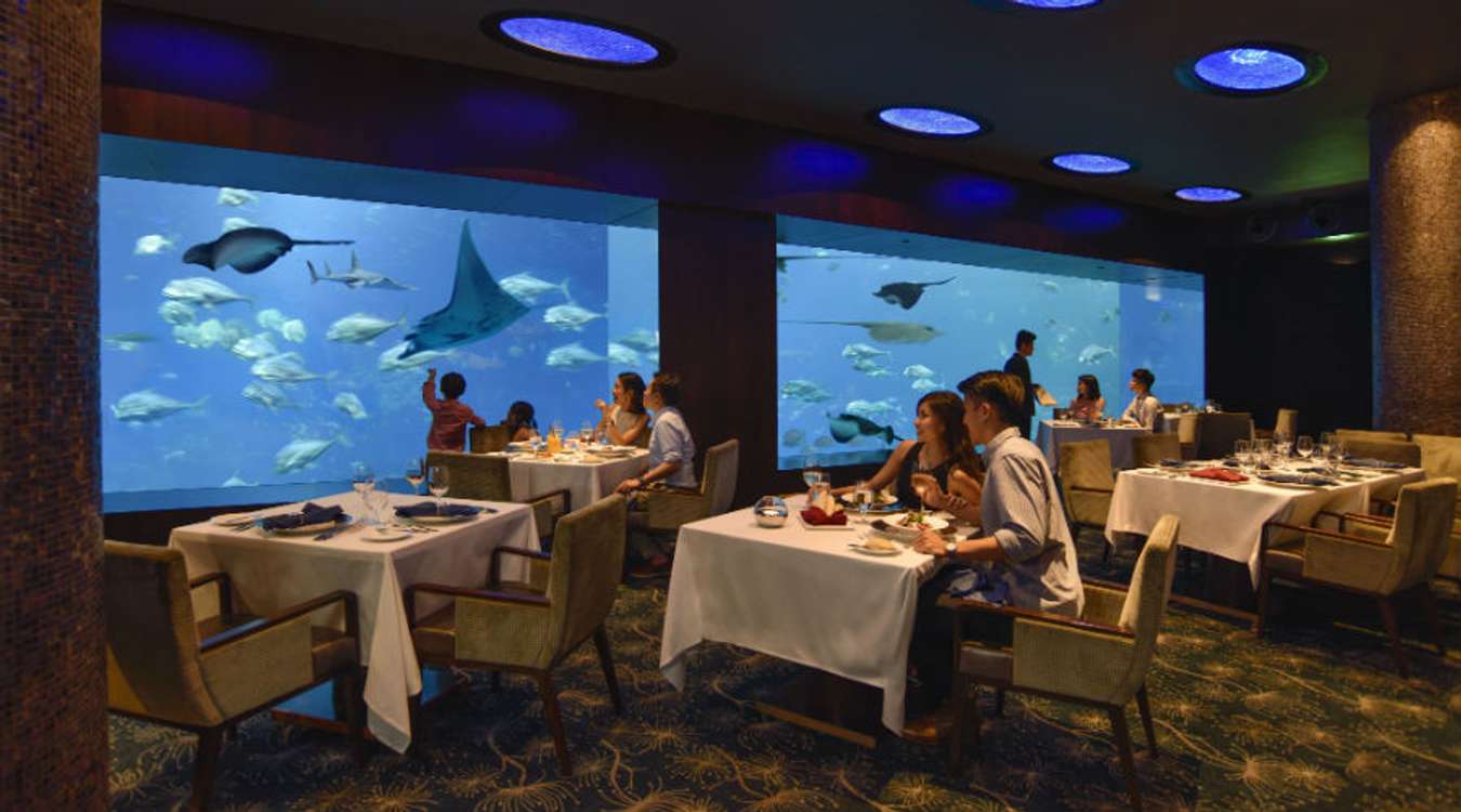 Ocean Restaurant