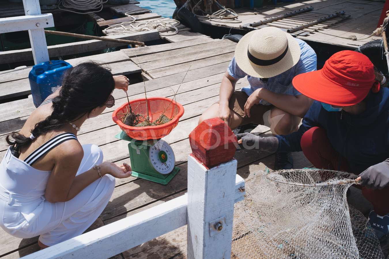 Bình Hưng có gì chơi - Nhà bè
