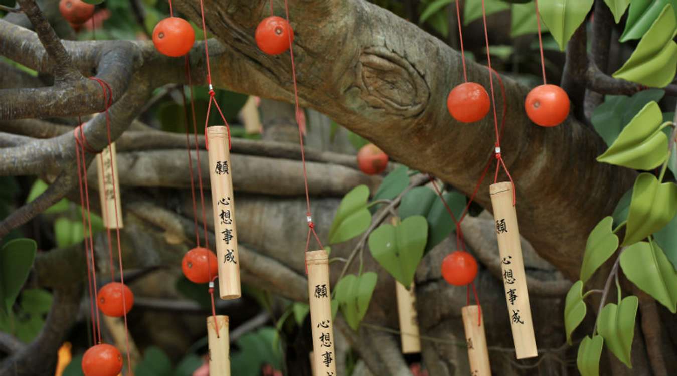 Bodhi tree - Ngong Ping Village