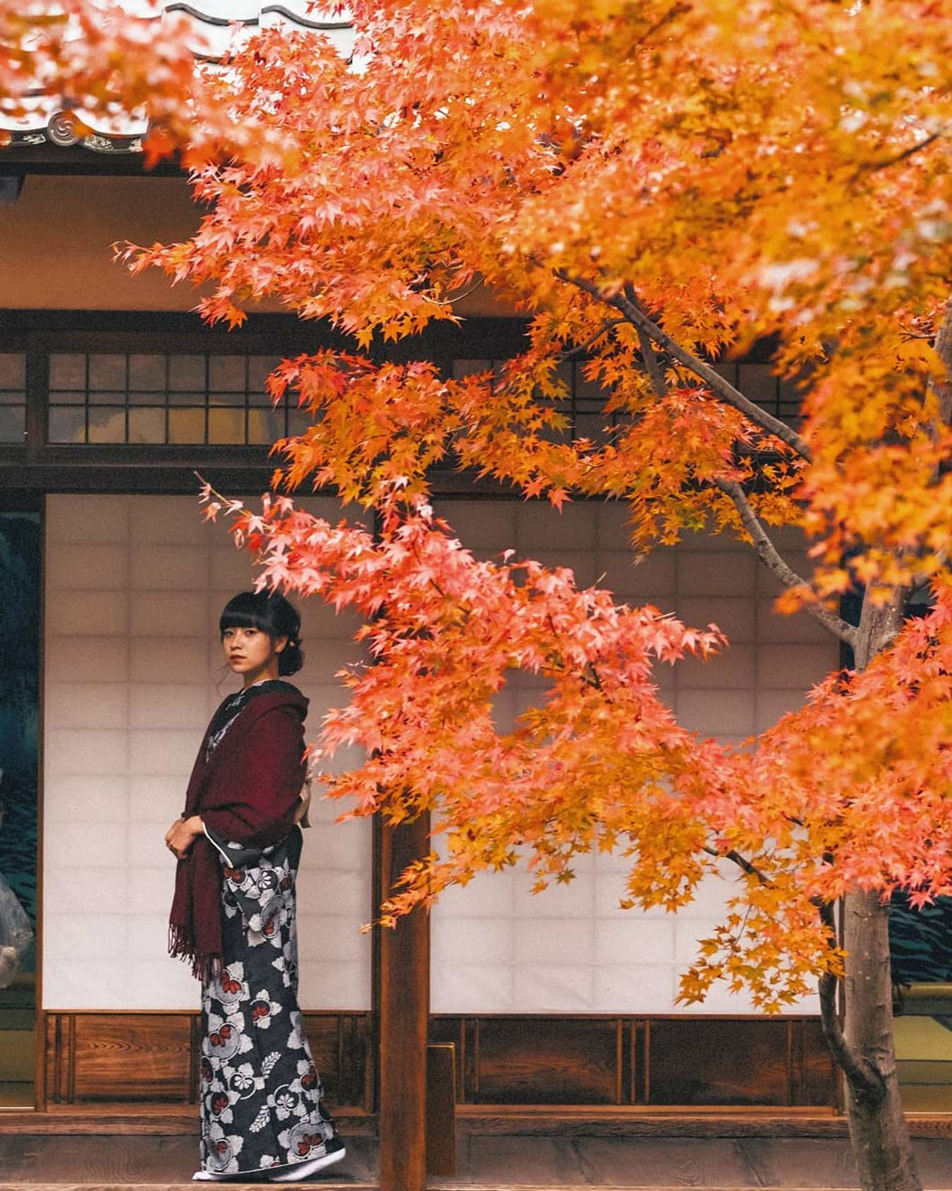 Tháng 10 đi du lịch ở đâu - Nhật Bản mùa thu - Kyoto