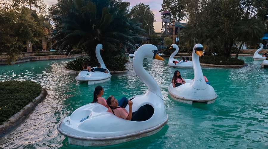 enchanted kingdom swan lake