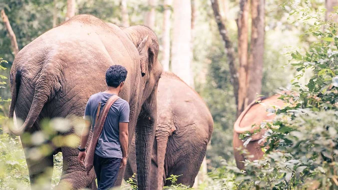 Kinh nghiệm đi Chiang Mai - Doi Inthanon