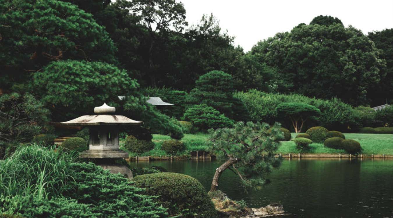 Shinjuku Gyoen Garden