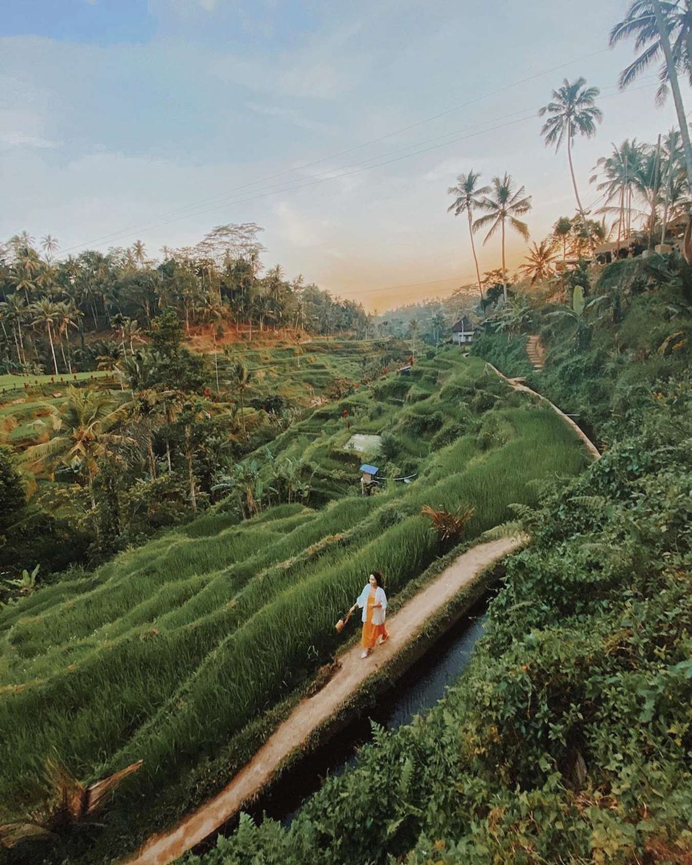 Kinh nghiệm du ngoạn Bali tự động túc - Ubud