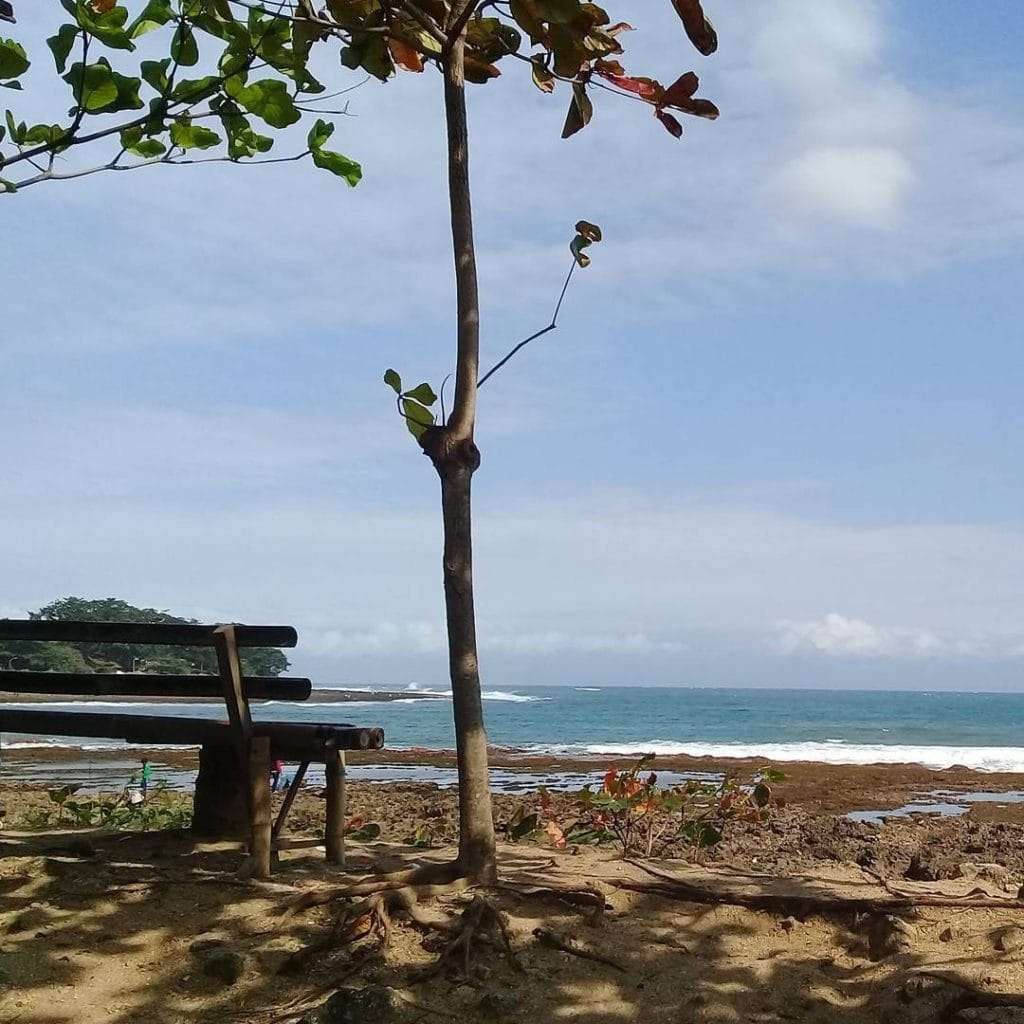 Pantai manalusu ini berada di kecamatan cikelet, kabupaten garut. Pantai Manalusu 2021 : M Twfpjfoerzum