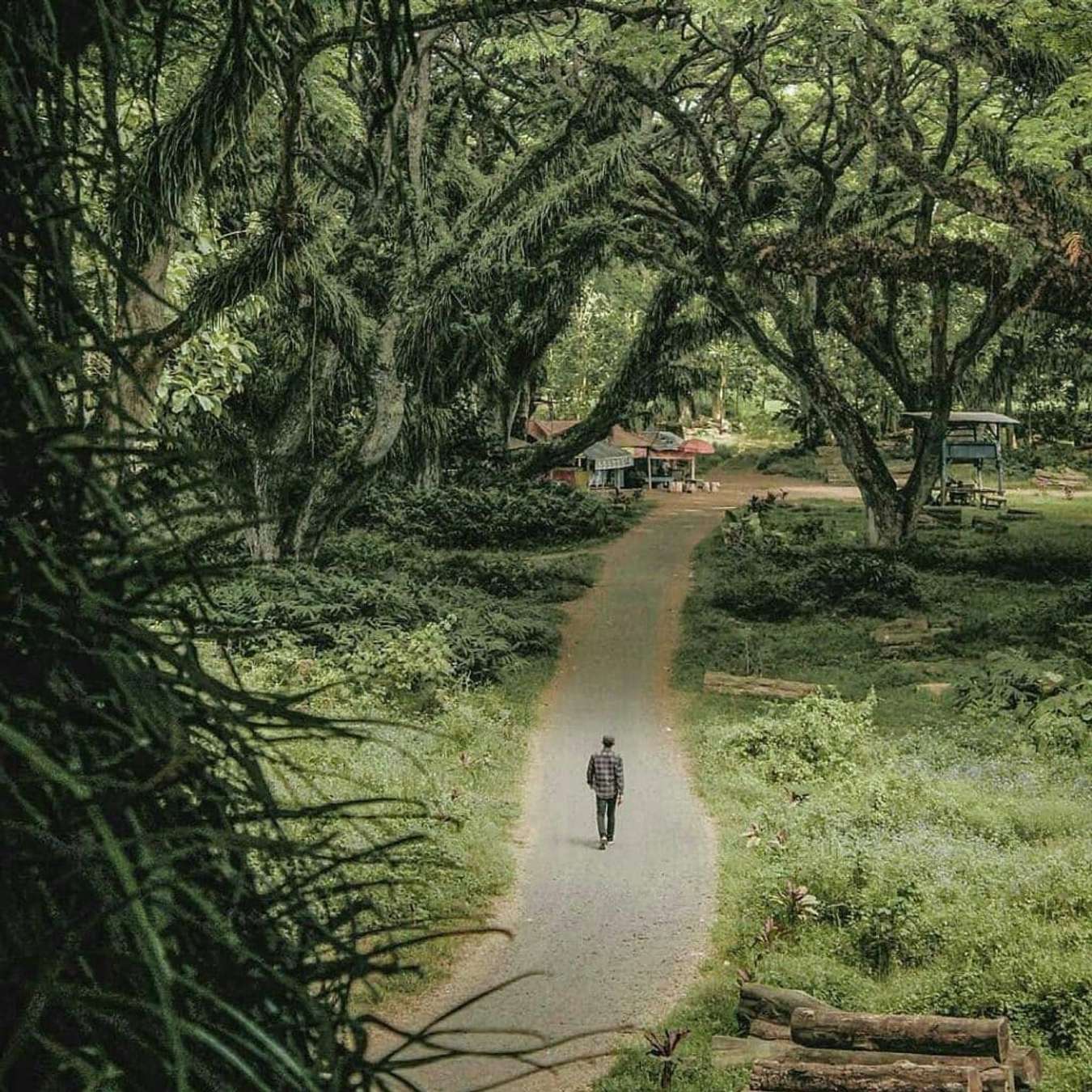 18 Tempat Wisata di Banyuwangi untuk Pengalaman Liburan Seru