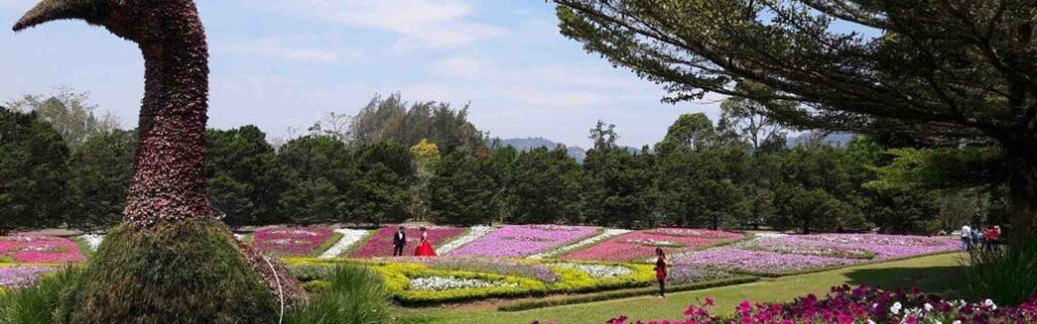 10 Tempat Wisata Di Bogor Tawarkan Pesona Alam Menakjubkan