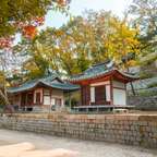 travel ke korea tanpa tour guide