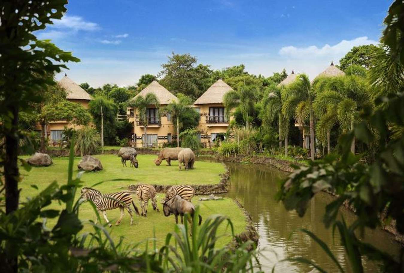 Hotel unik di bali - Mara River Safari Lodge