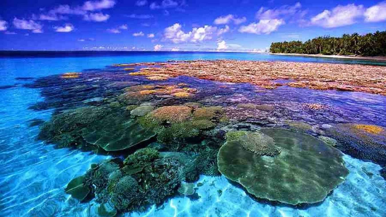 Pemandangan bawah laut yang memukau di Taman Laut Bunaken, dengan terumbu karang berwarna-warni dan berbagai jenis ikan tropis