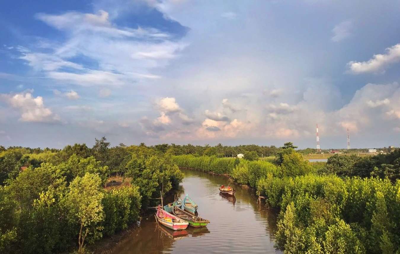 Hutan Mangrove Setapuk - Destinasi wisata di Singkawang