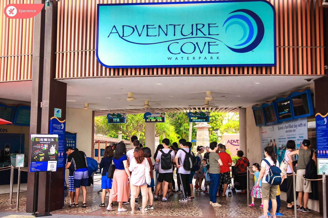 Adventure Cove Waterpark