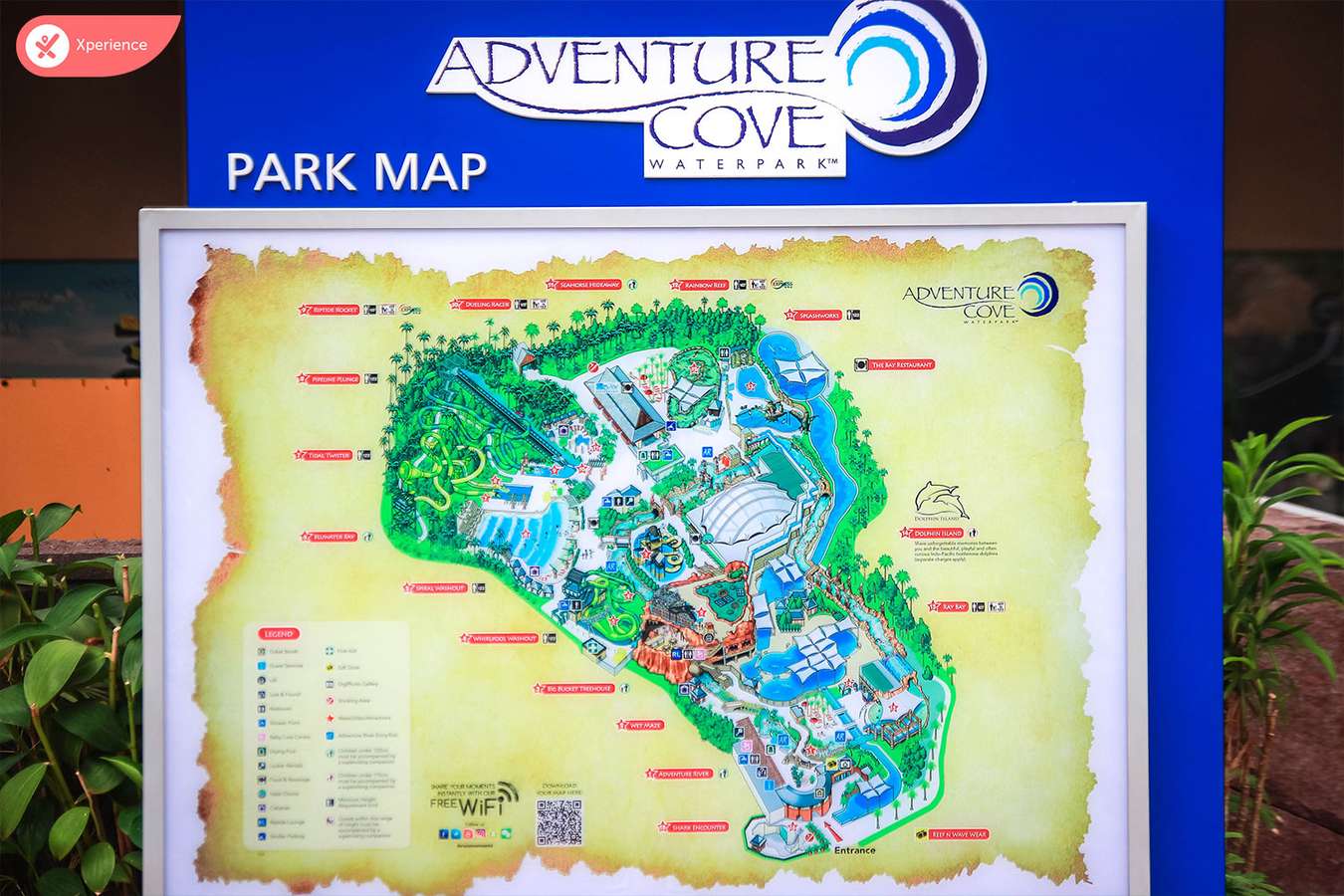 Adventure Cove Waterpark