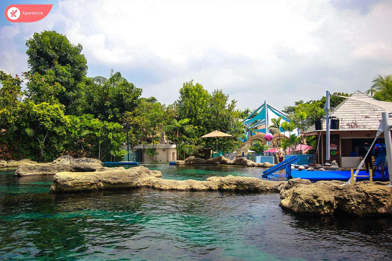 Adventure Cove Waterpark