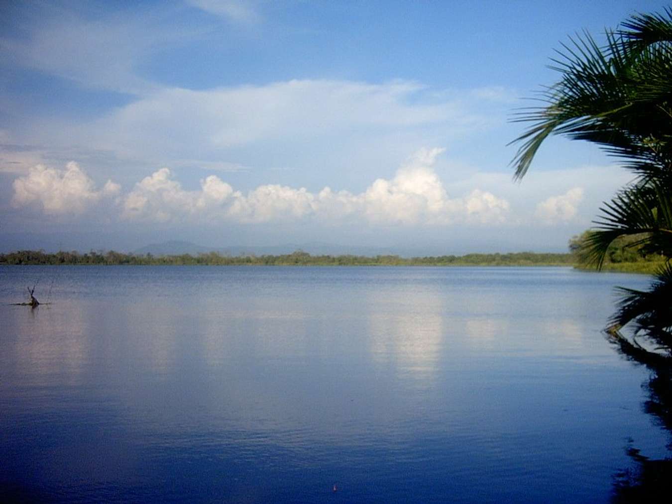 Danau Dendam Tak Sudah di Bengkulu