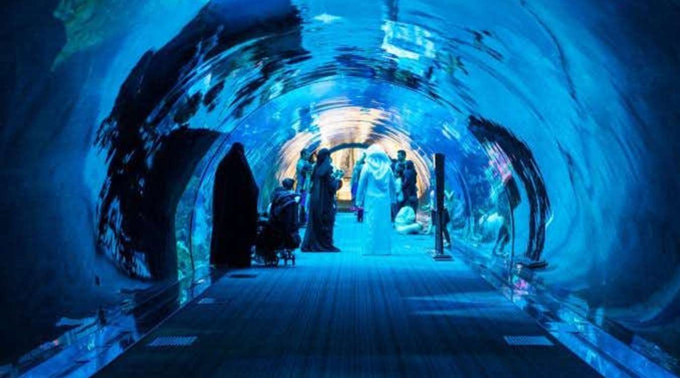 Dubai Aquarium and Underwater Zoo