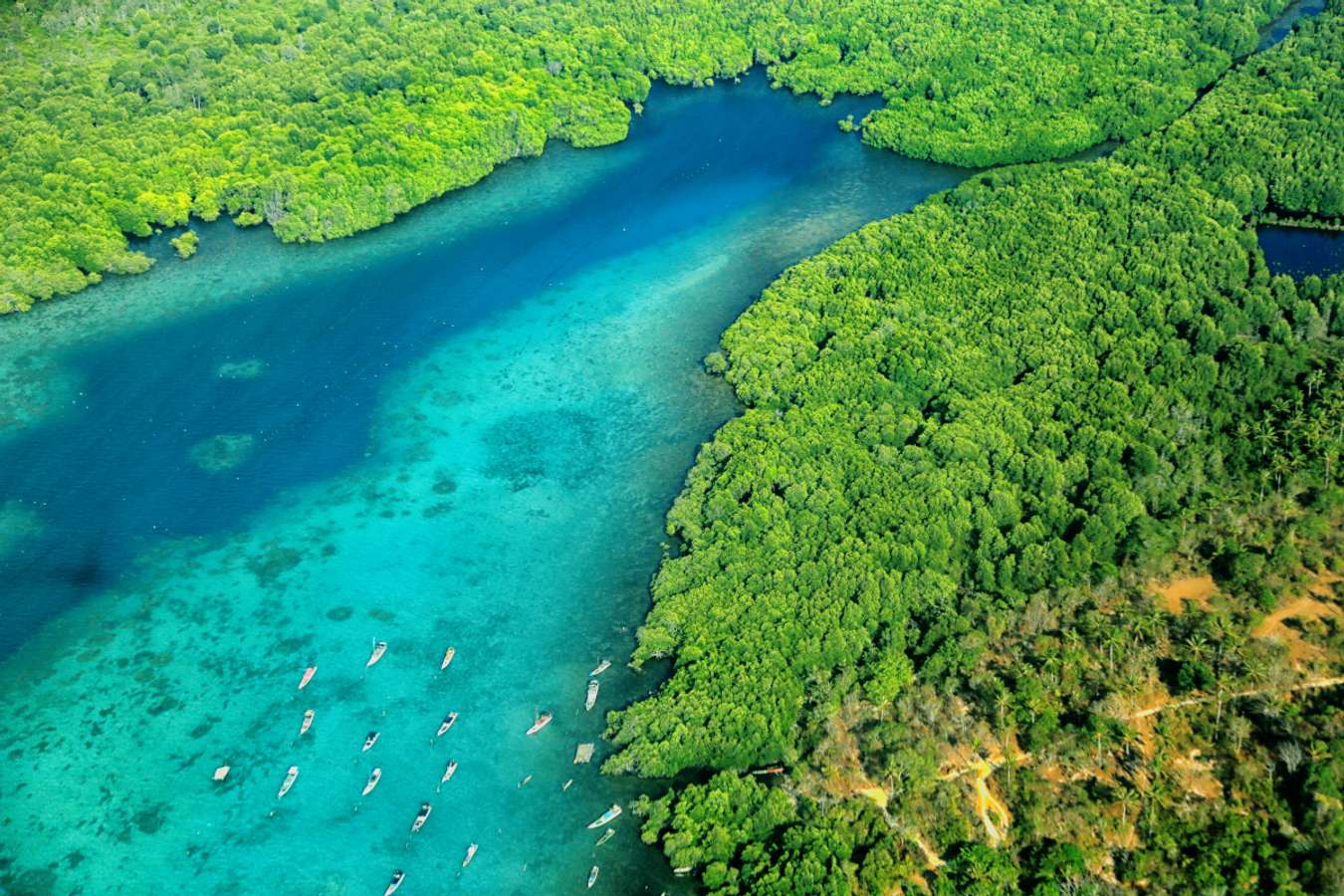 Taman Nasional Karimun Jawa - Taman Nasional di Indonesia