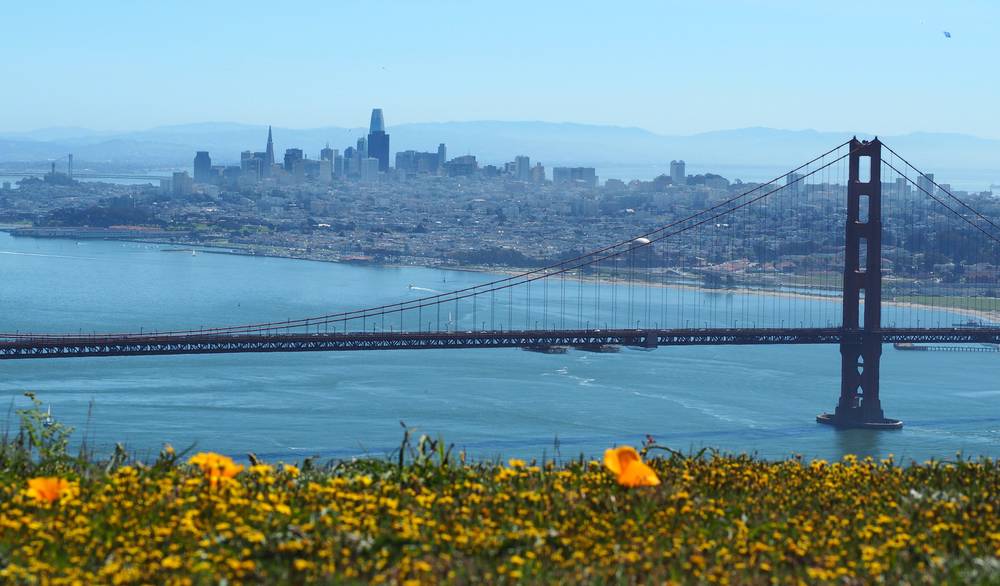 Liburan Musim Panas di San Francisco
