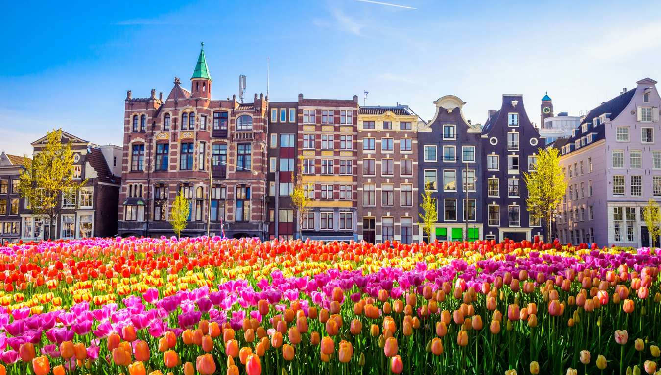 Liburan Musim Panas di Amsterdam, Belanda