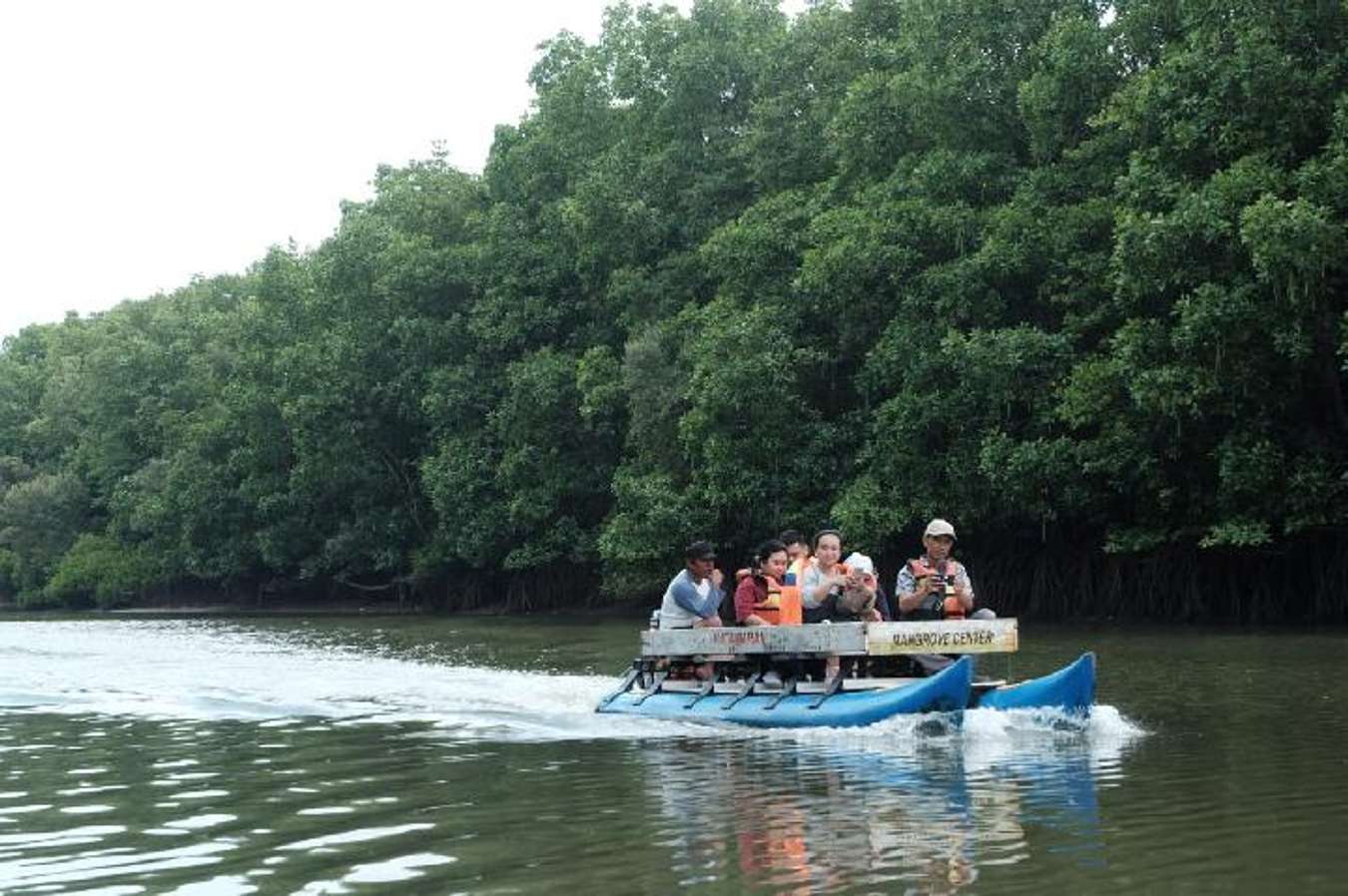 Destinasi tempat wisata di Balikpapan - Mangrove Sungai Somber