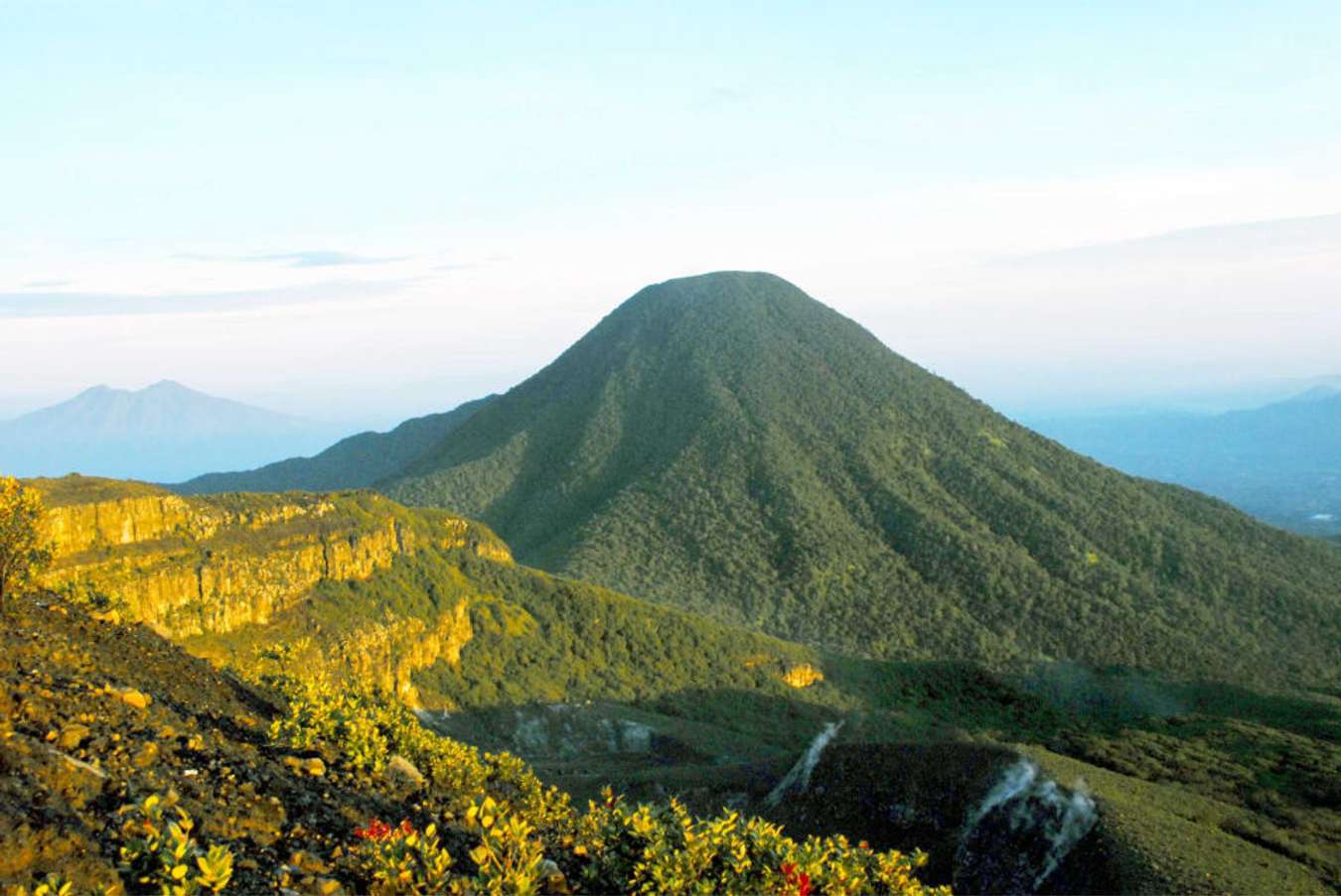 Taman Nasional Gunung Gede Pangrango - Wisata di Cianjur