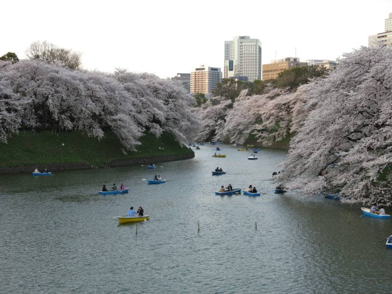 ชิโดริงะฟุชิ เรียวคุโด (Chidorigafuchi-ryokudo), โตเกียว (Tokyo)