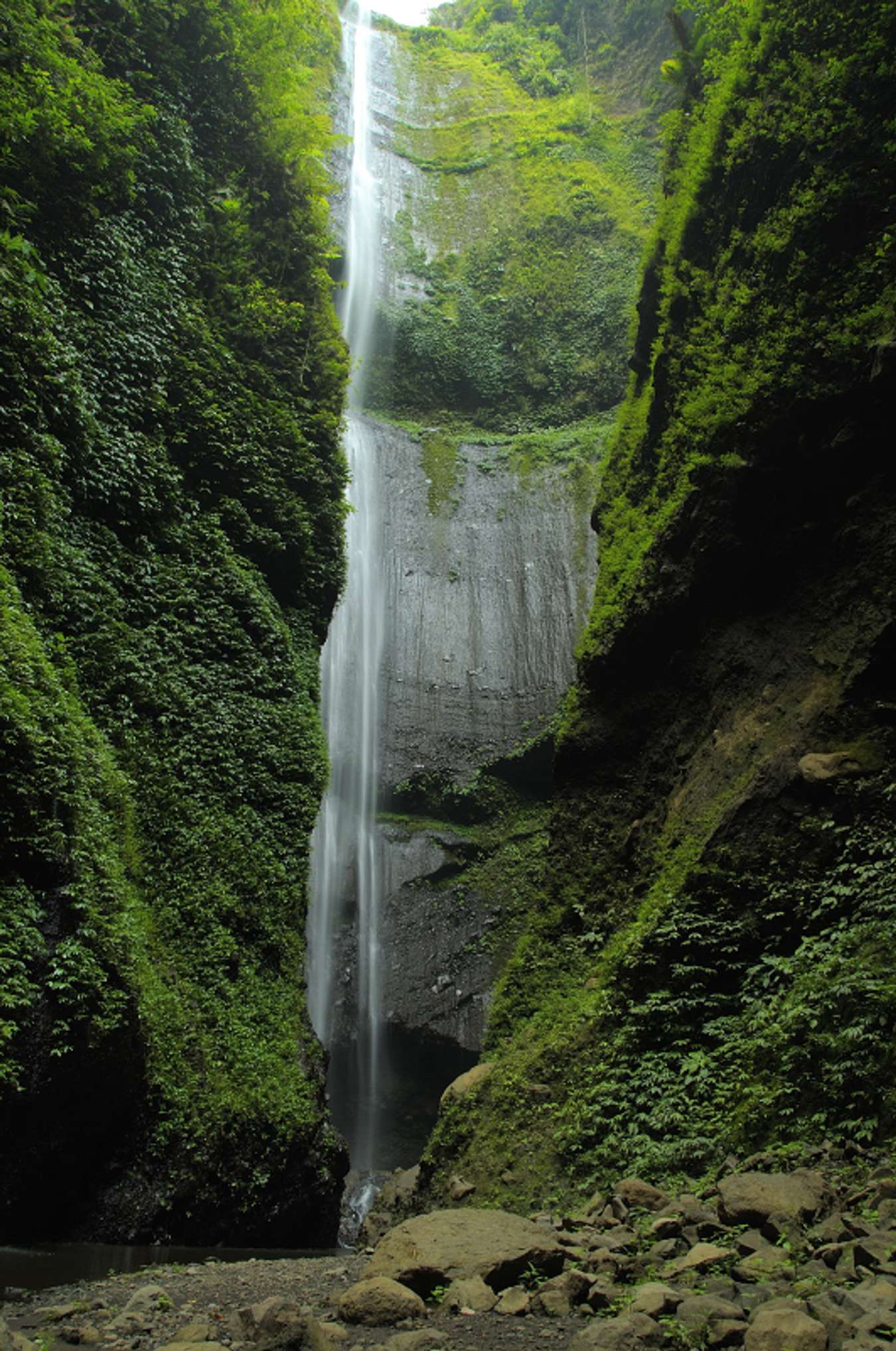 Air Terjun Madakaripura - Air Terjun Tertinggi di Indonesia