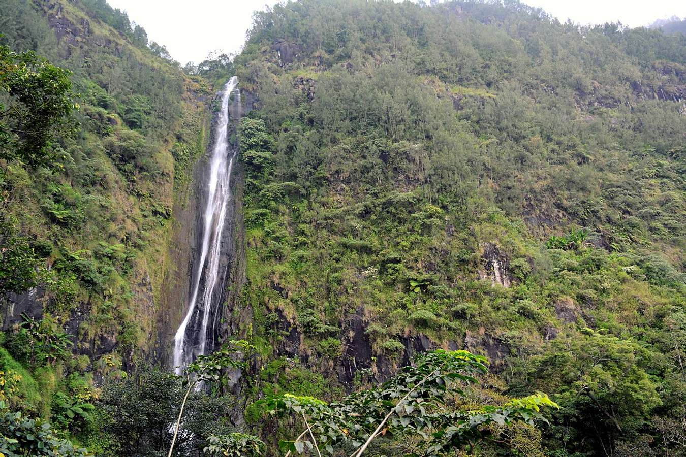 Air Terjun Sedudo - Air Terjun Paling Tinggi di Indonesia