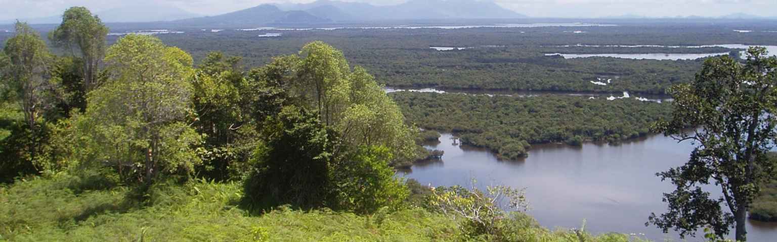 Taman Nasional Danau Sentarum Keunikan Danau Sebagai Taman Nasional