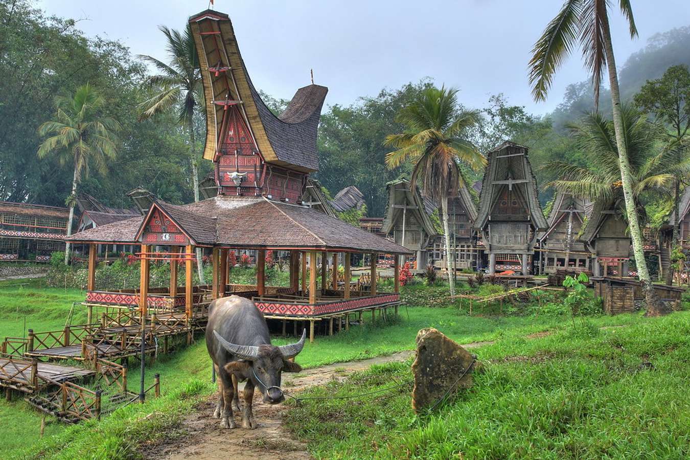 Desa Kete Kesu - Desa Adat di Indonesia