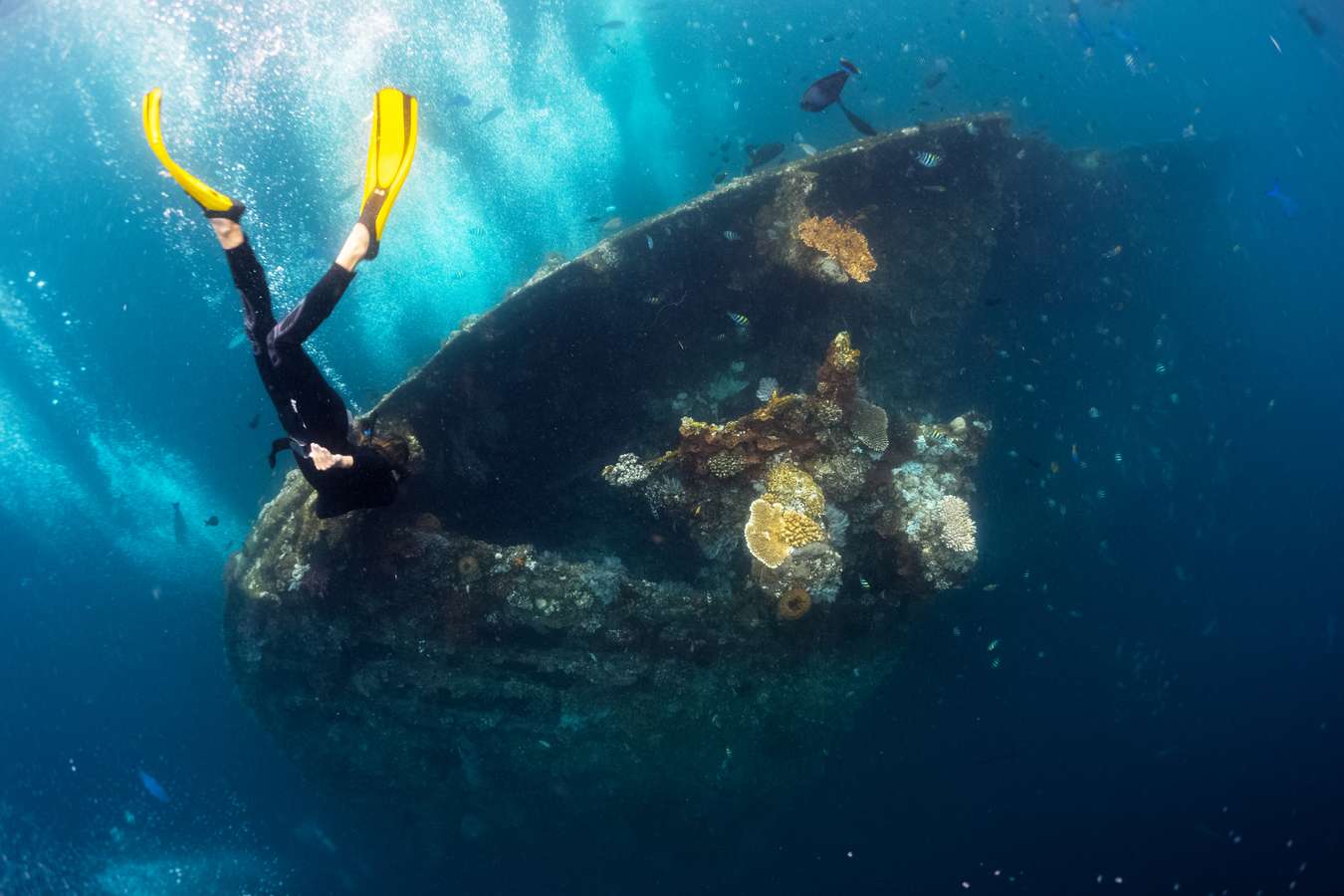 Salah satu spot diving di Tulamben - Diving Spot di Indonesia