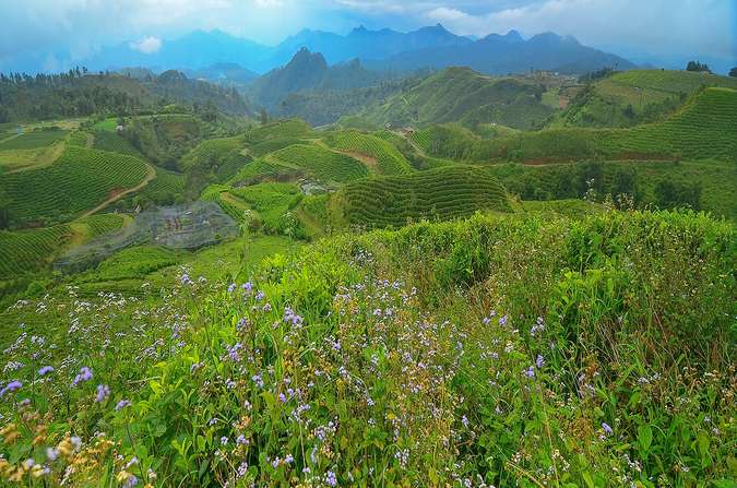 9 Destinasi Tempat Wisata Di Malino Yang Sayang Dilewatkan