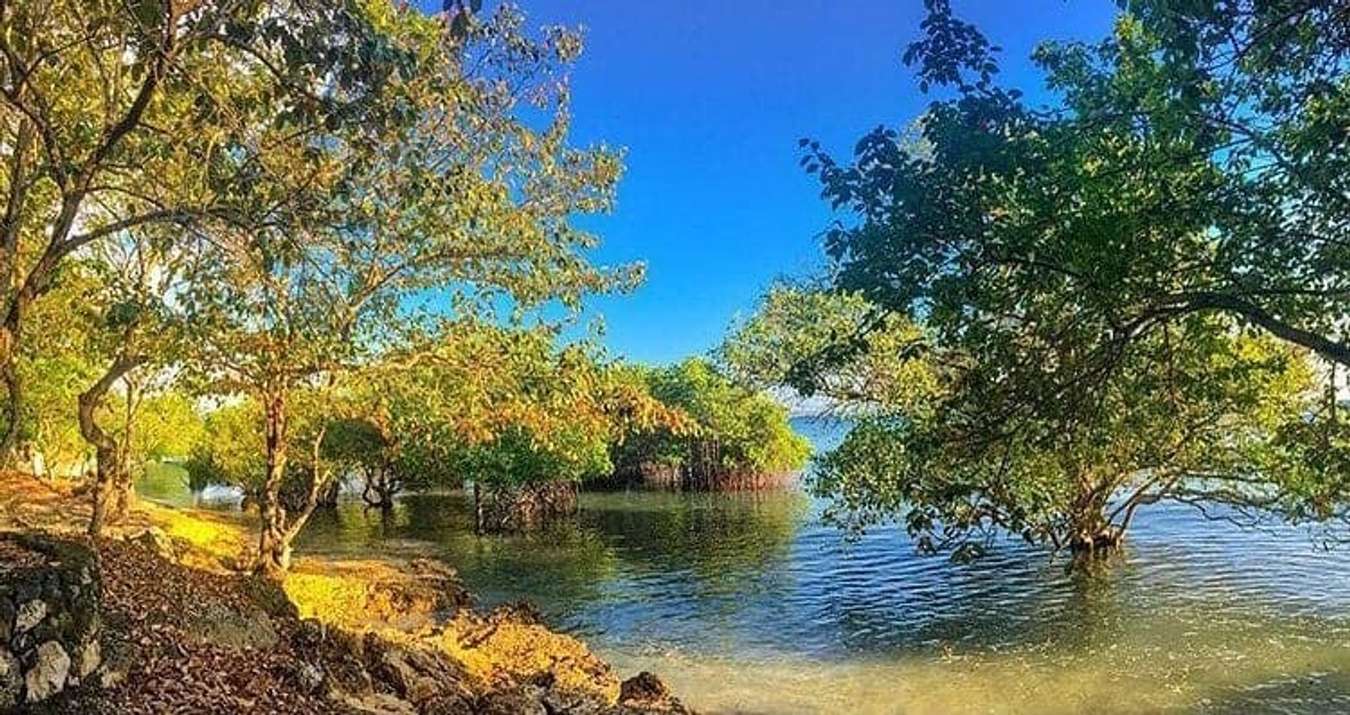 Taman Nasional Bali Barat - Taman Nasional di Indonesia