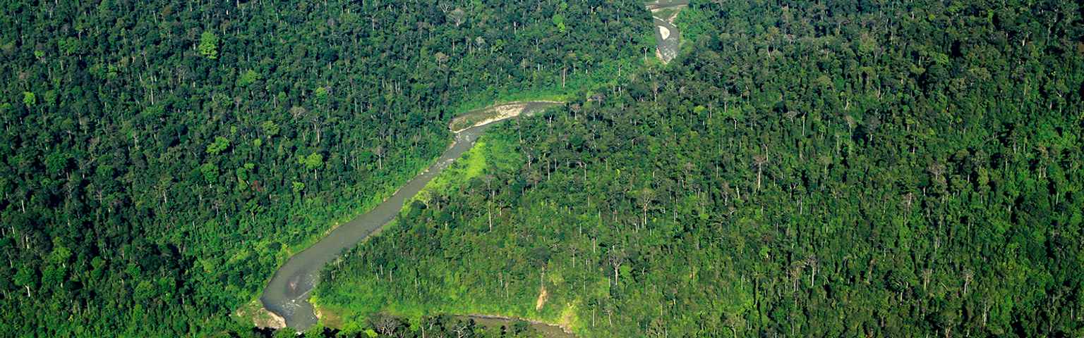 Pemerintah membangun taman nasional ujung kulon di jawa barat dengan tujuan