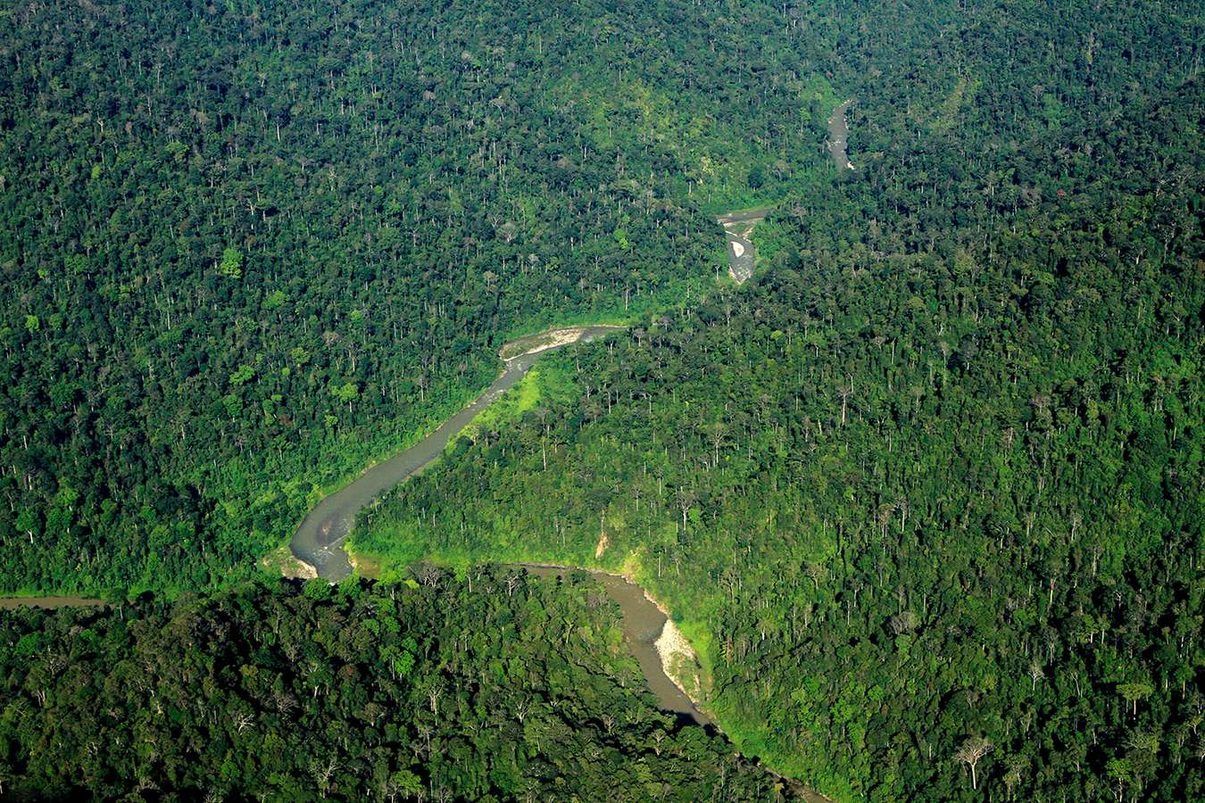 Taman Nasional Gunung Leuser - Taman Nasional di Indonesia