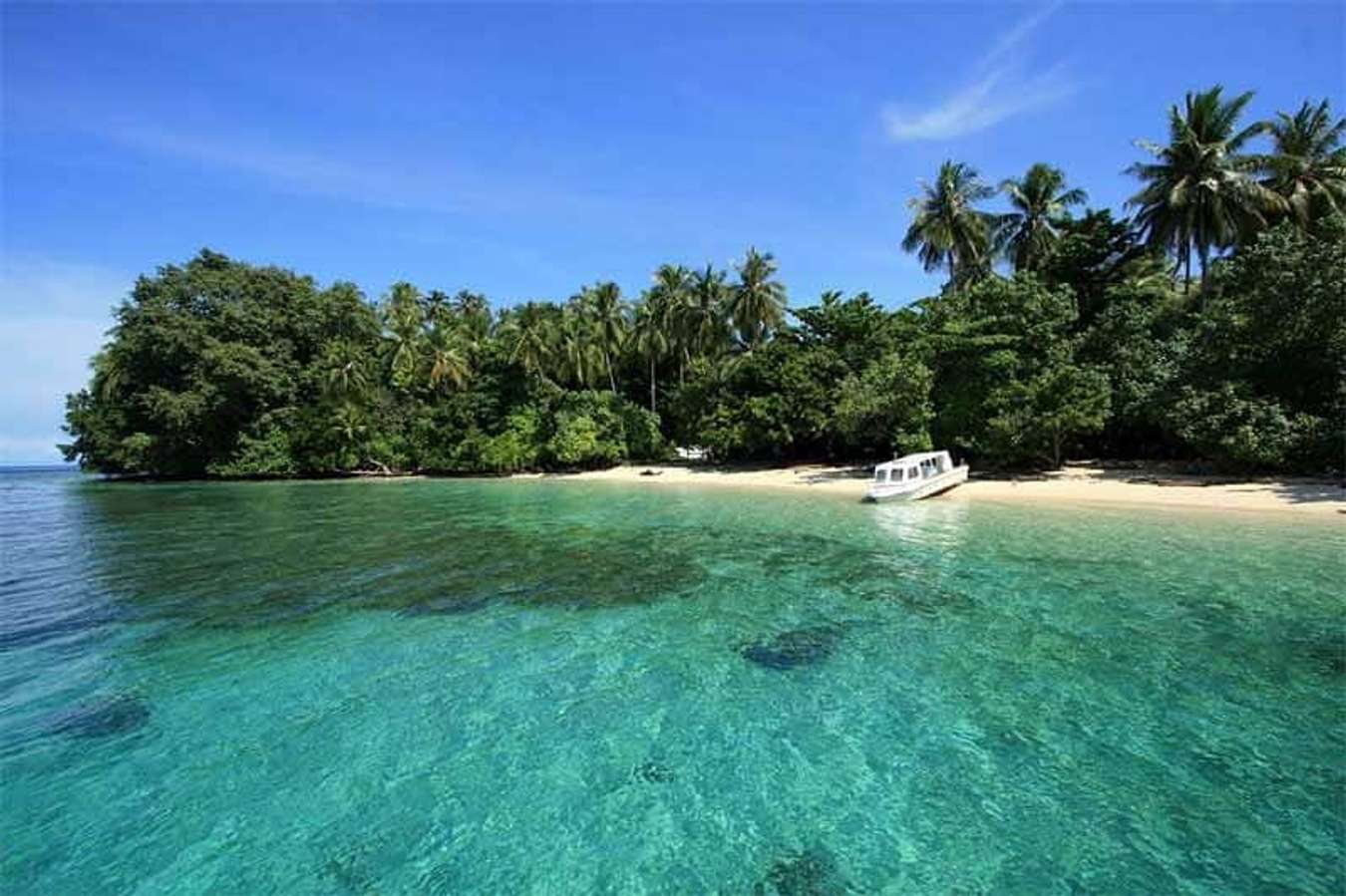 Taman Nasional Teluk Cendrawasih - Taman Nasional di Indonesia