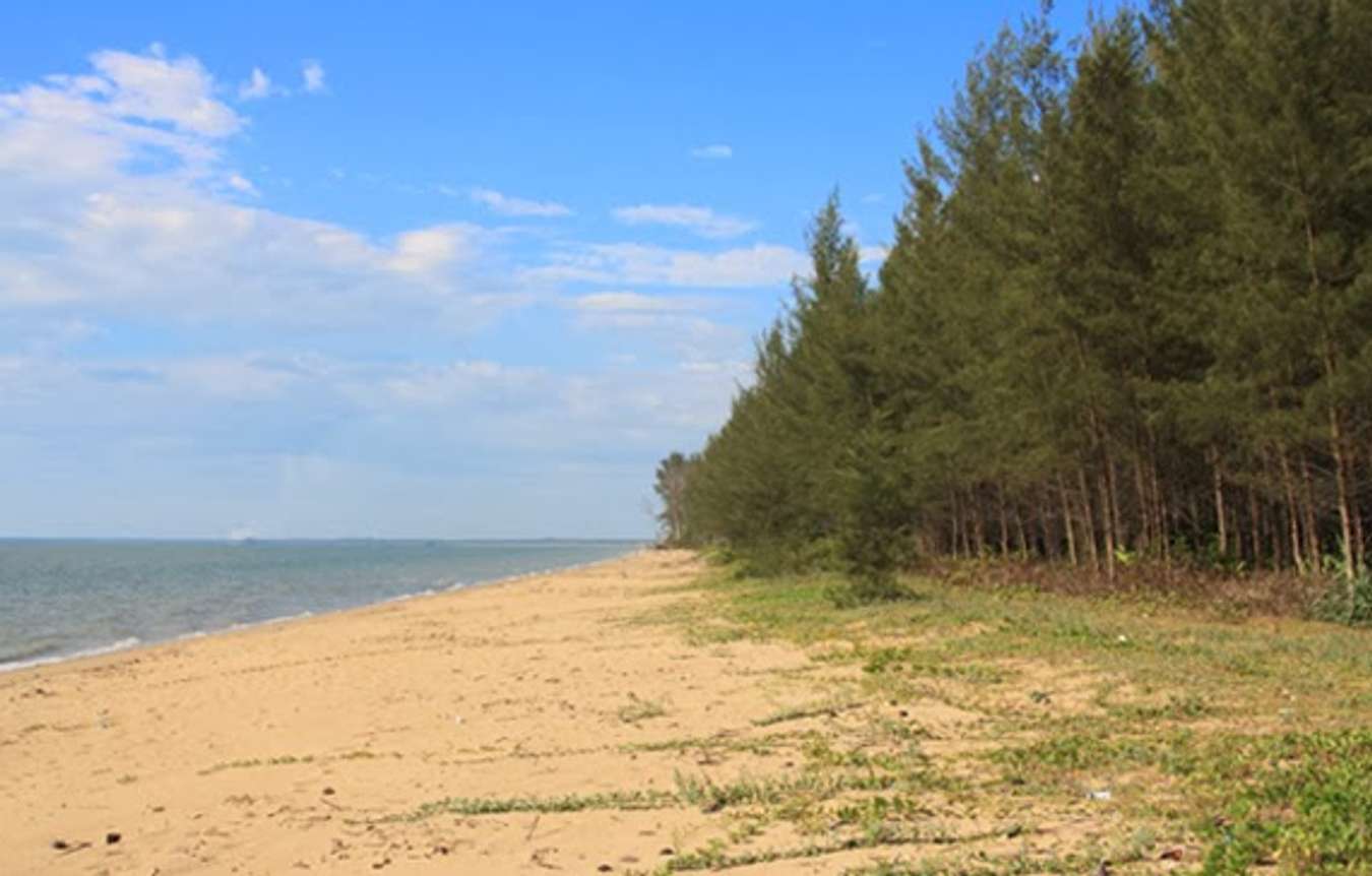 Pantai Selimpai - Wisata di Sambas