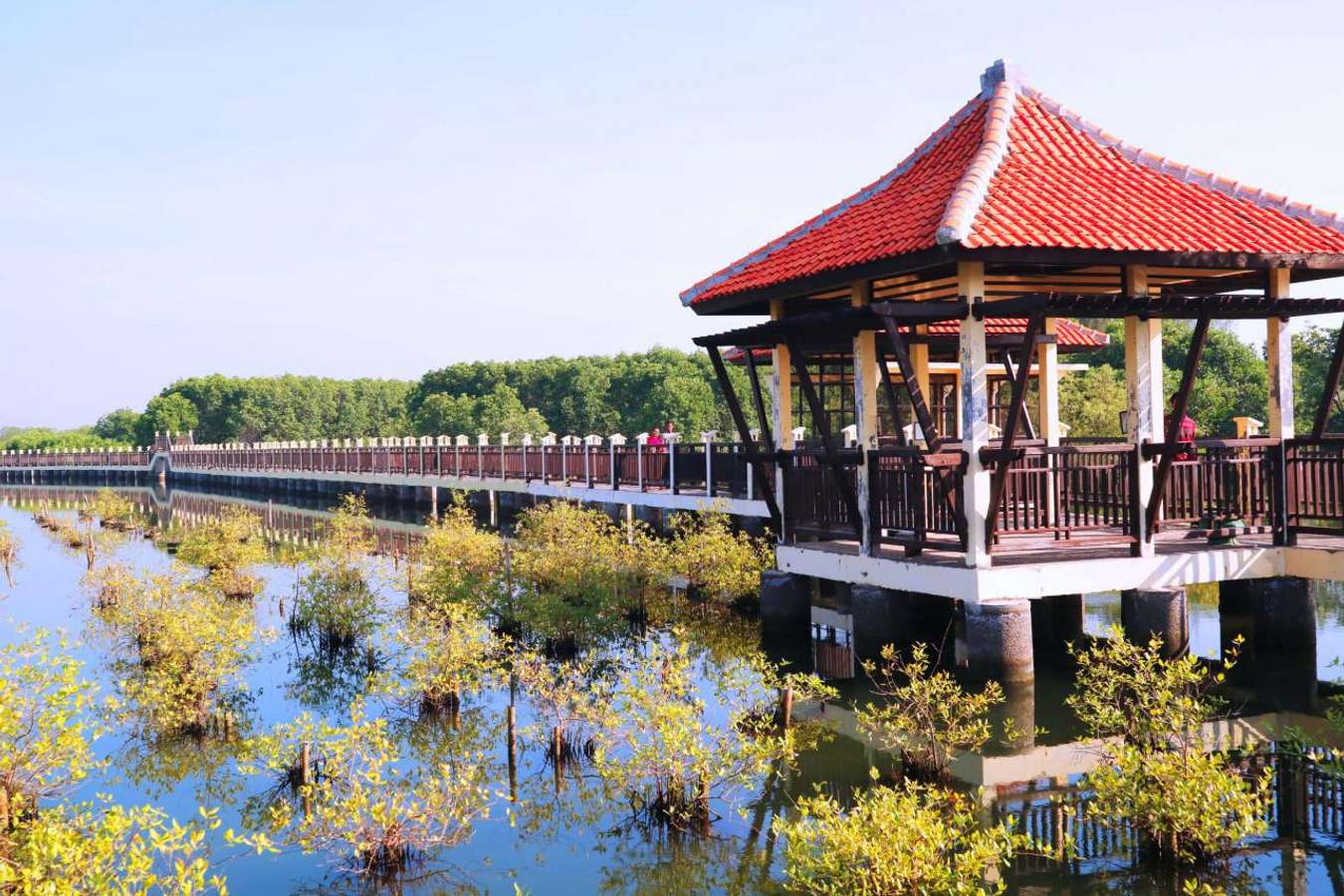Taman Mangrove Pekalongan - Objek wisata di Pekalongan