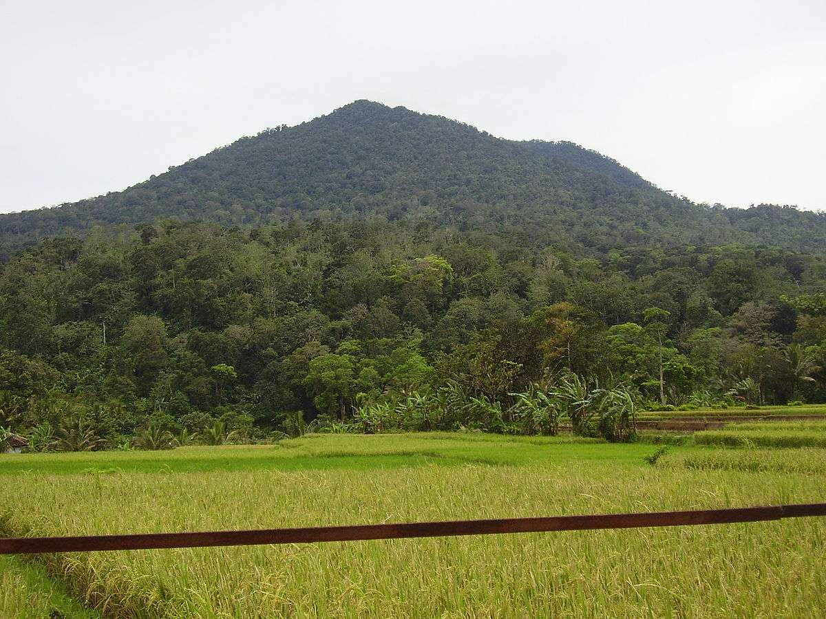 7 Gunung Yang Cocok Untuk Pendaki Pemula Di Indonesia