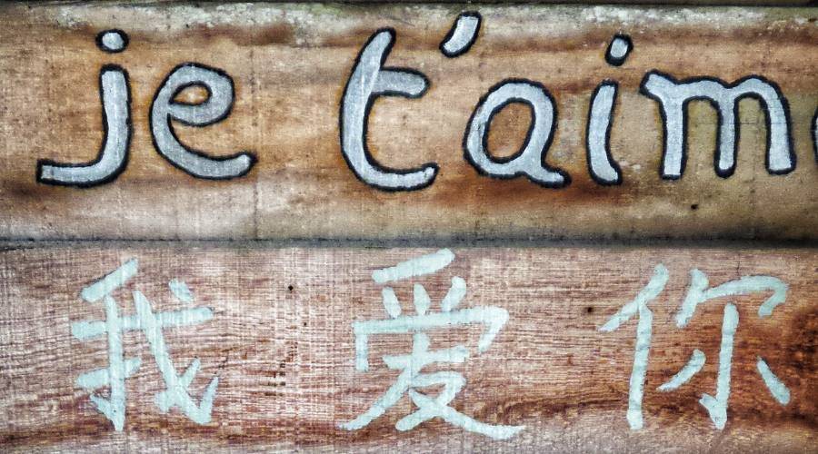 Language