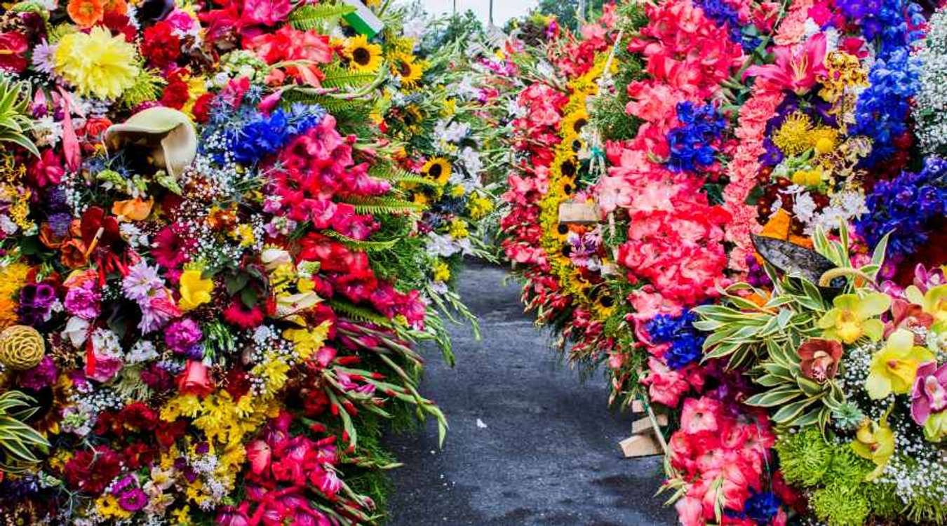 The 10 Best Flower Festivals to Attend This Year Around the World