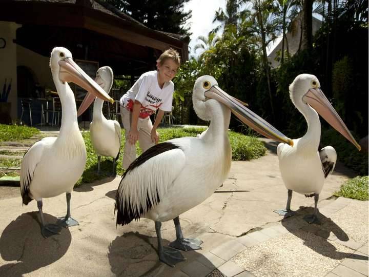 Bali Bird Park - Wisata Anak di Bali