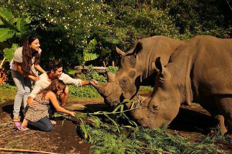 Bali Safari dan Marine Park